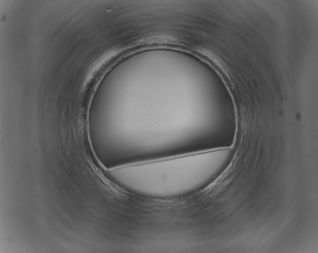 X0000071781115200606300910