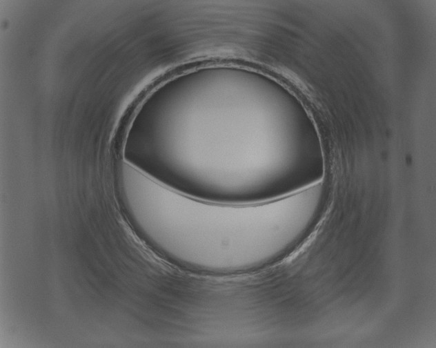 X0000071781118200606300910