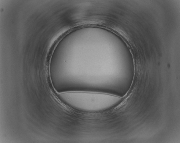 X0000071781119200606300910