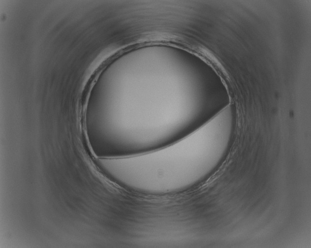 X0000071781124200606300910