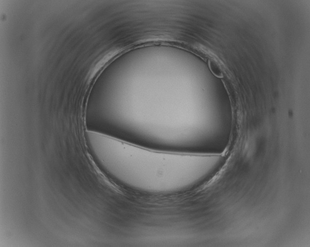 X0000071781129200606300910