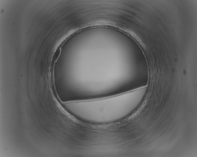 X0000071781134200606300910