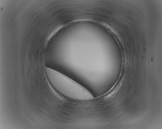 X0000071781137200606300910