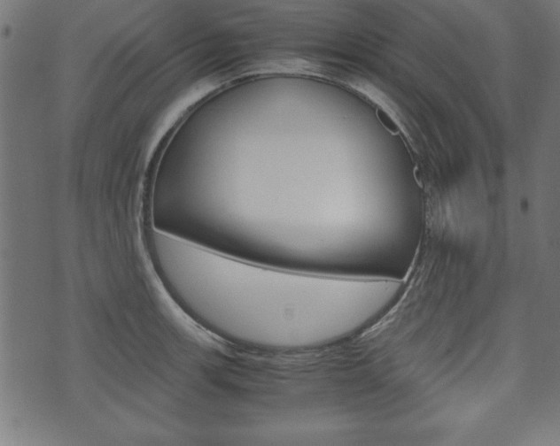 X0000071781139200606300910