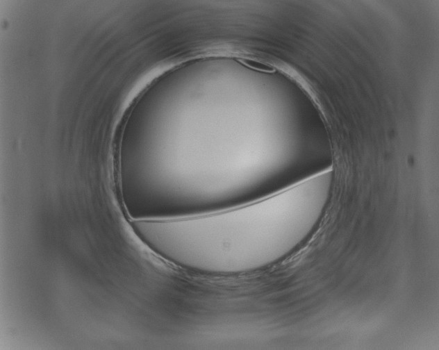 X0000071781147200606300910