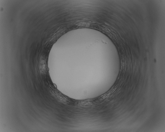 X0000071781154200606300910