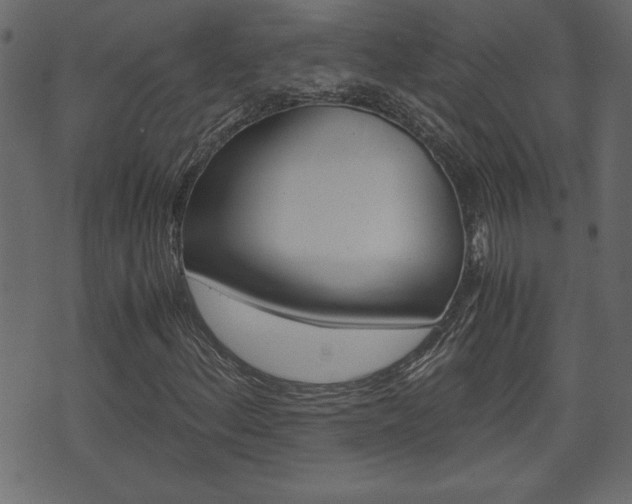 X0000071781156200606300910