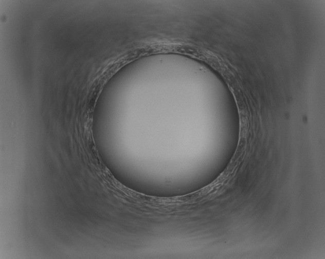 X0000071781157200606300910