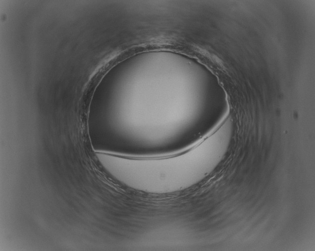 X0000071781160200606300910
