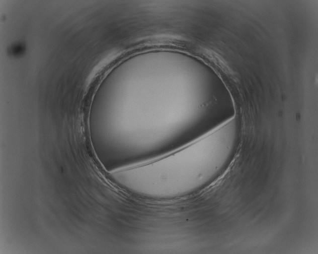 X0000071781164200606300910