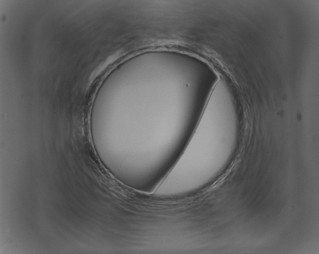 X0000071781165200606300910