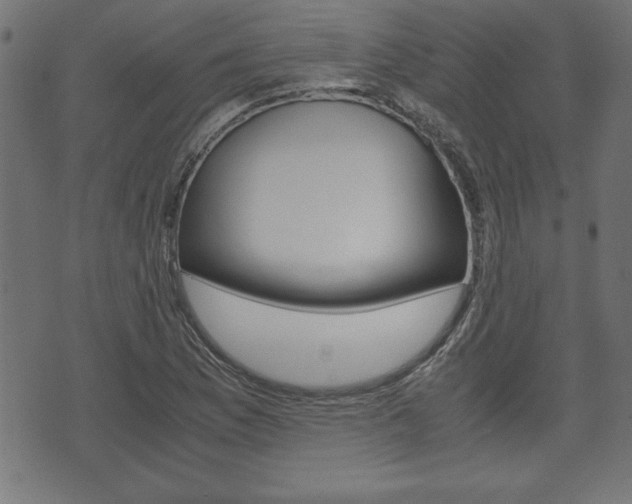 X0000071781169200606300909