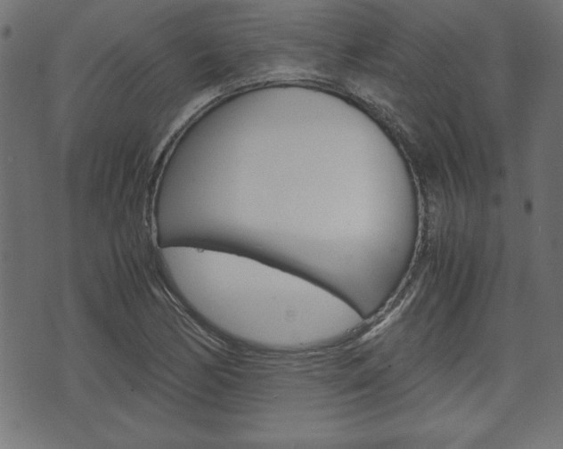 X0000071781170200606300909