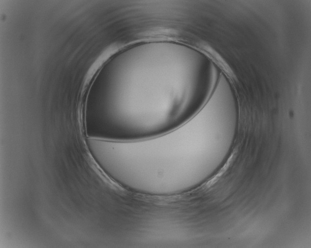 X0000071781196200606300909