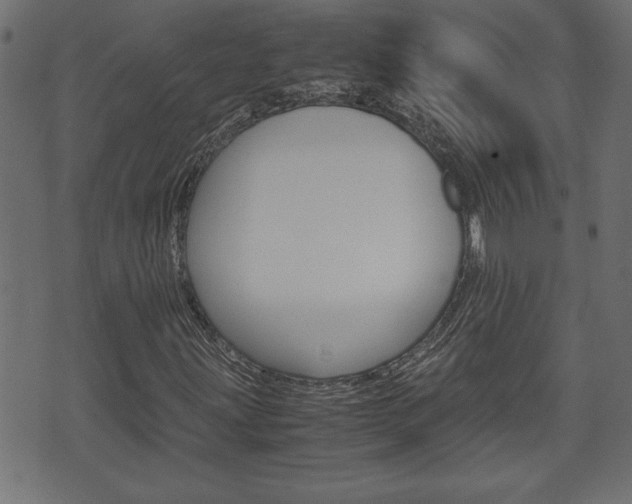 X0000071781203200606300908