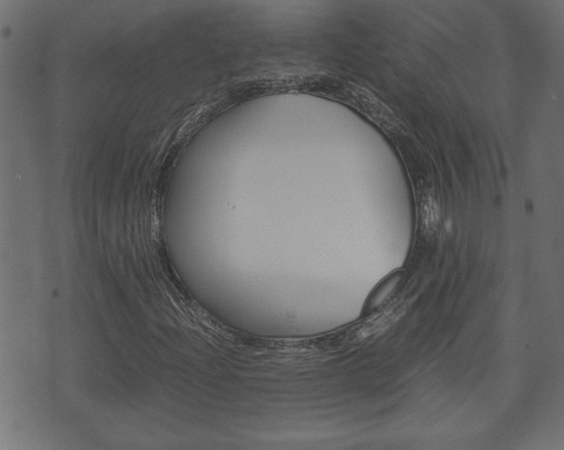 X0000071781204200606300908