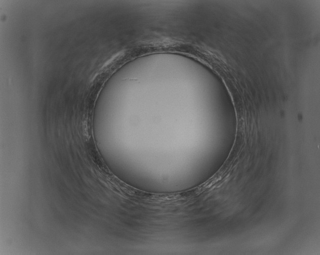 X0000071781205200606300908