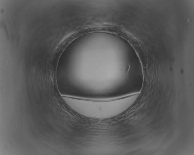 X0000071781206200606300908