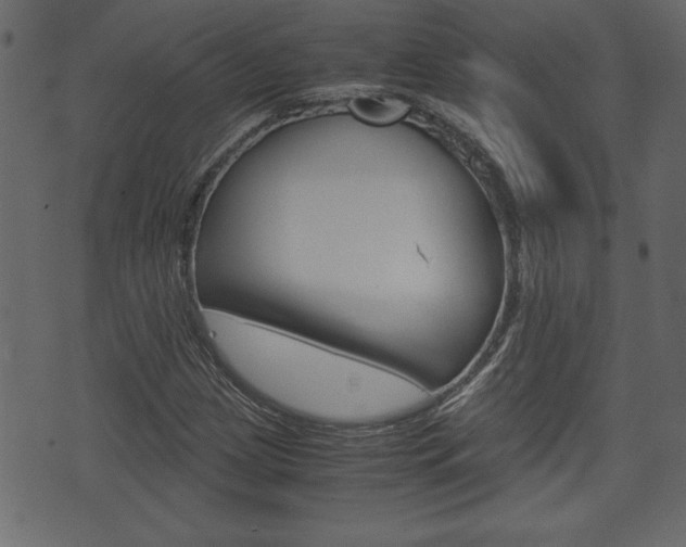 X0000071781209200606300908
