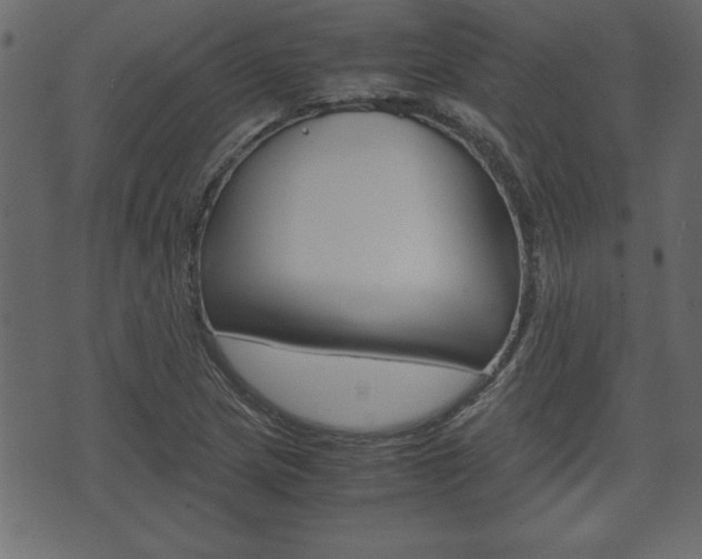 X0000071781217200606300908