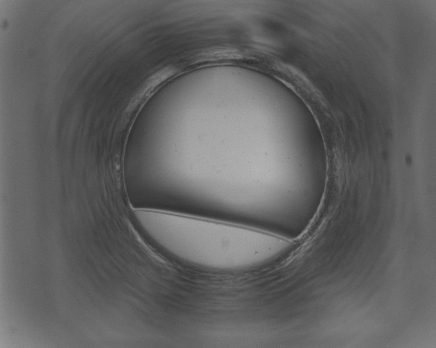 X0000071781225200606300909