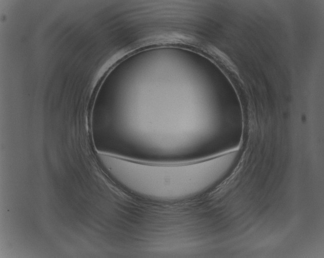 X0000071781226200606300909