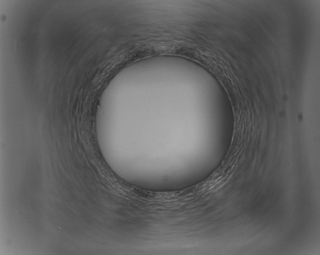 X0000071781249200606300908
