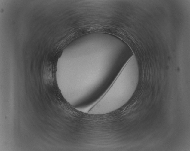X0000071781250200606300908