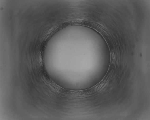 X0000071781252200606300908