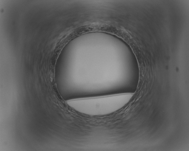 X0000071781253200606300908