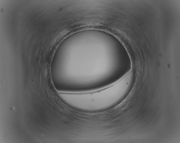 X0000071781257200606300908