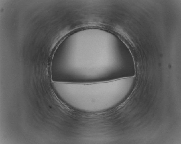 X0000071781260200606300908