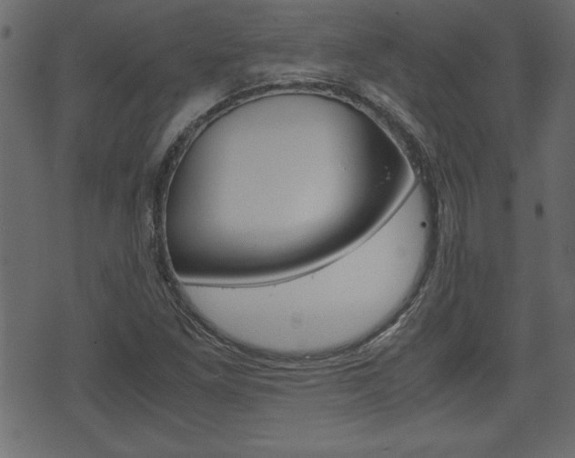 X0000071781261200606300908