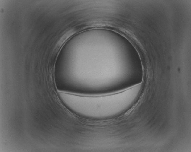 X0000071781273200606300908