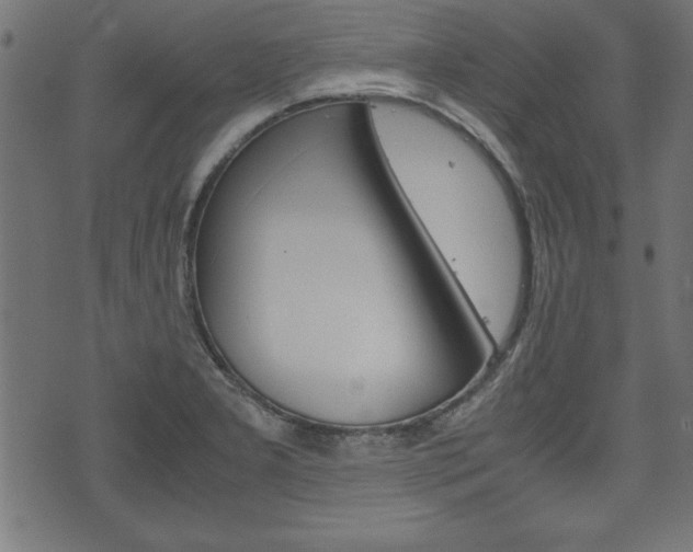 X0000071781277200606300908