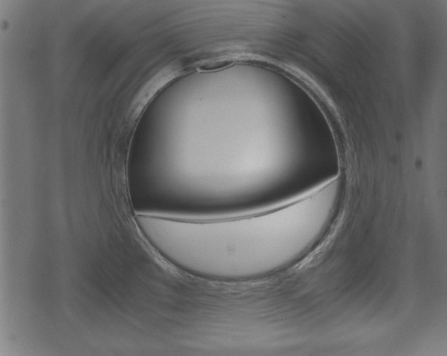 X0000071781289200606300908