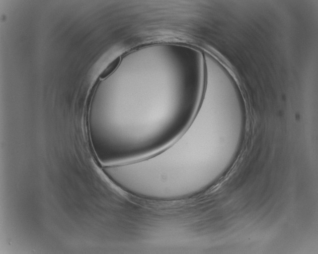 X0000071781293200606300907