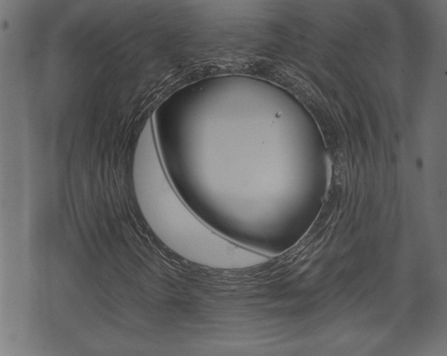 X0000071781298200606300907