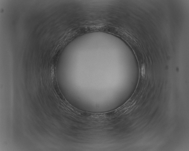 X0000071781299200606300907