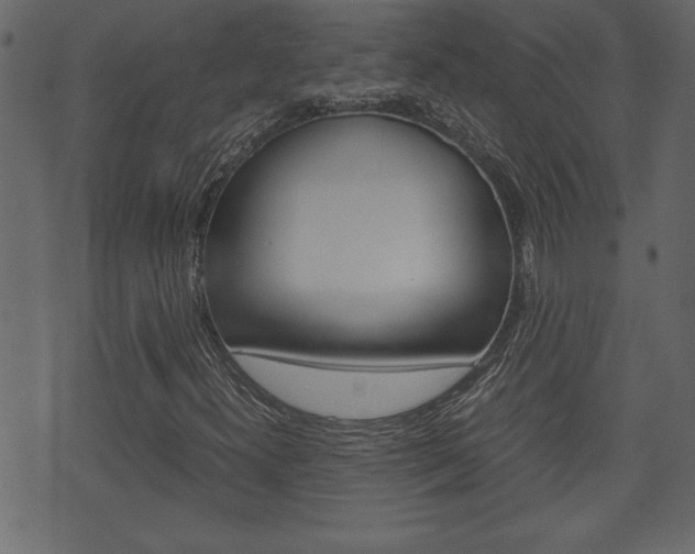 X0000071781300200606300907