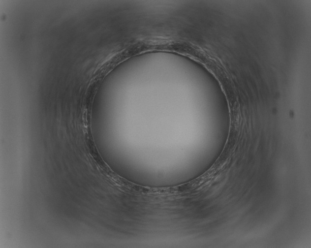 X0000071781301200606300907