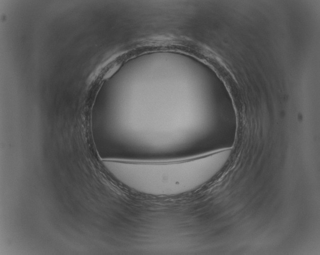 X0000071781304200606300907