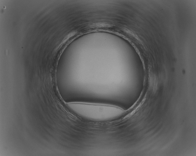 X0000071781305200606300907