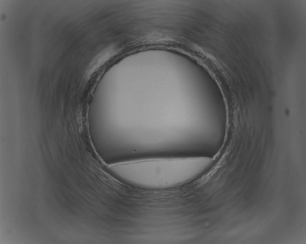 X0000071781306200606300907