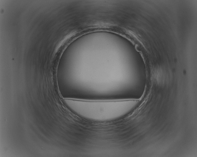 X0000071781307200606300907