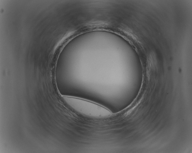 X0000071781309200606300907