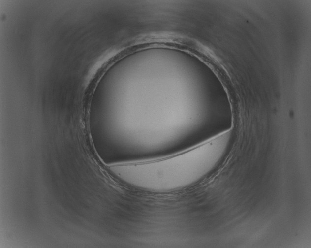 X0000071781312200606300907