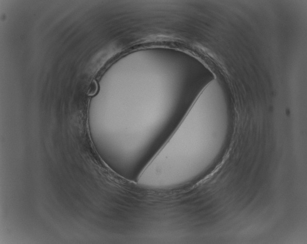 X0000071781313200606300907