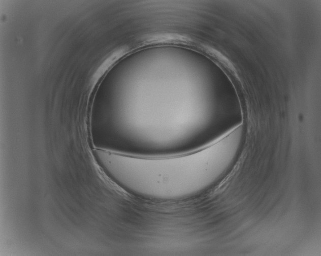 X0000071781330200606300907