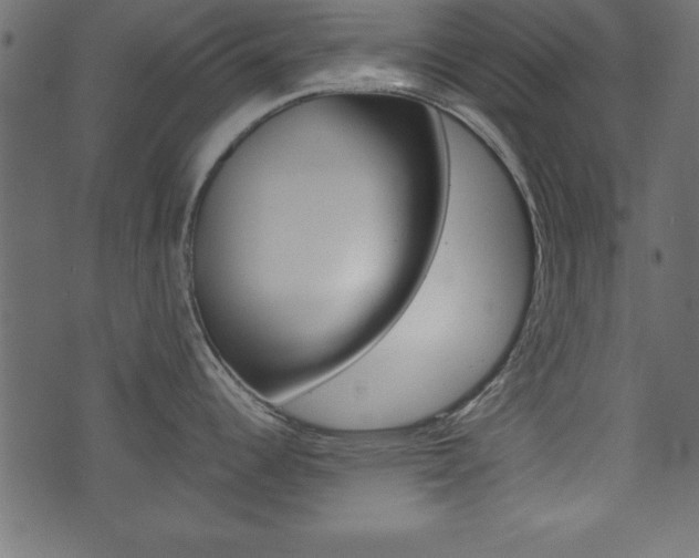X0000071781344200606300907